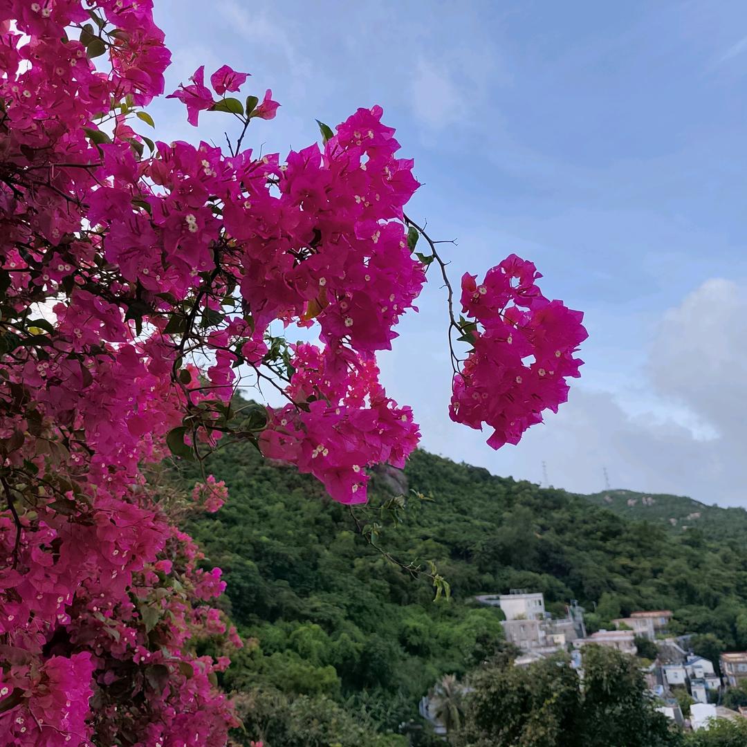 白白
