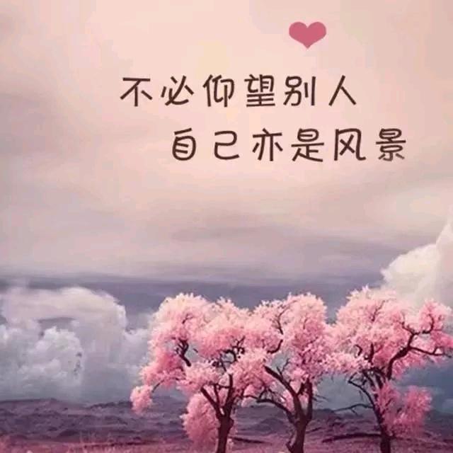 待人从善，遇事随缘！（不定时直播）