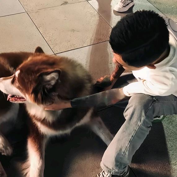 冰冷的心.