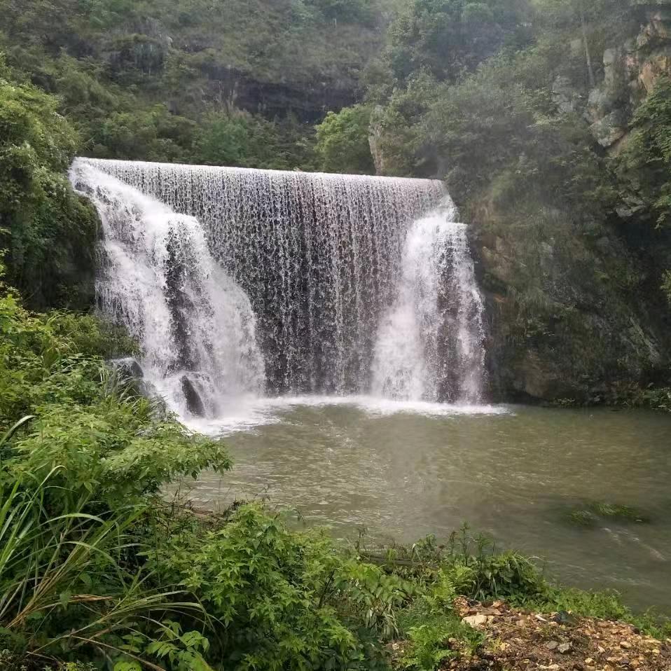 黔东南伐木一条龙服务