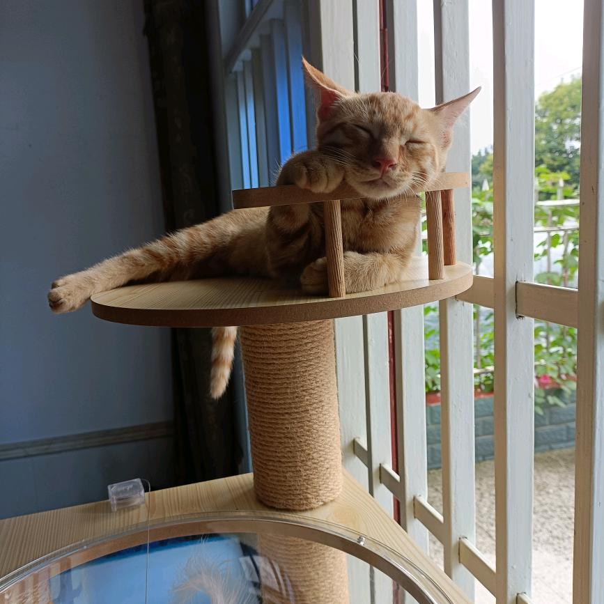 用户🐱