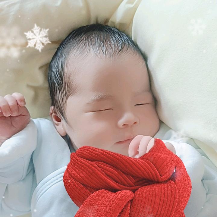 我是小禾苗呀