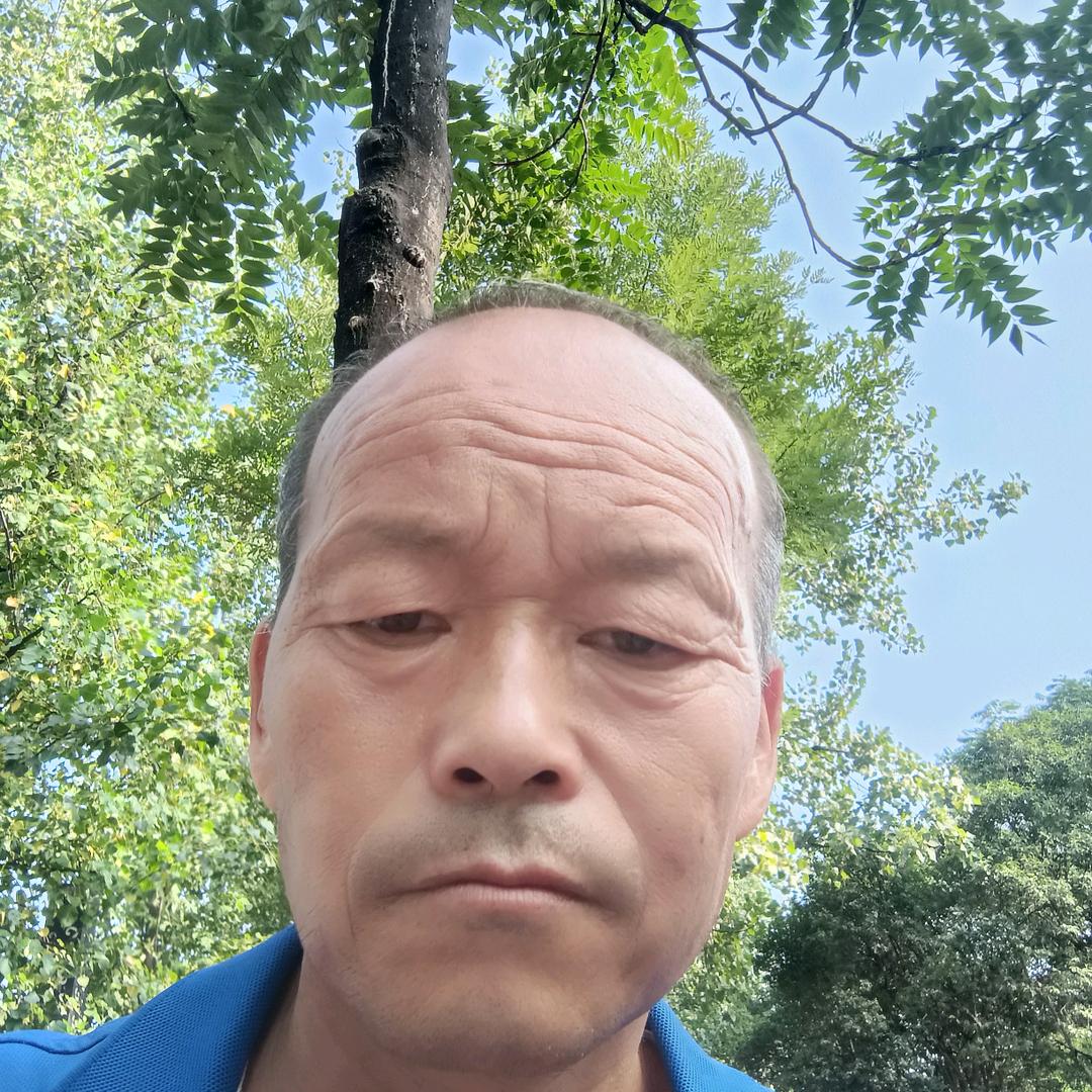 二强