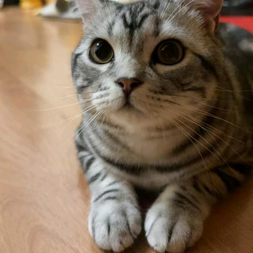 汐聚电暖