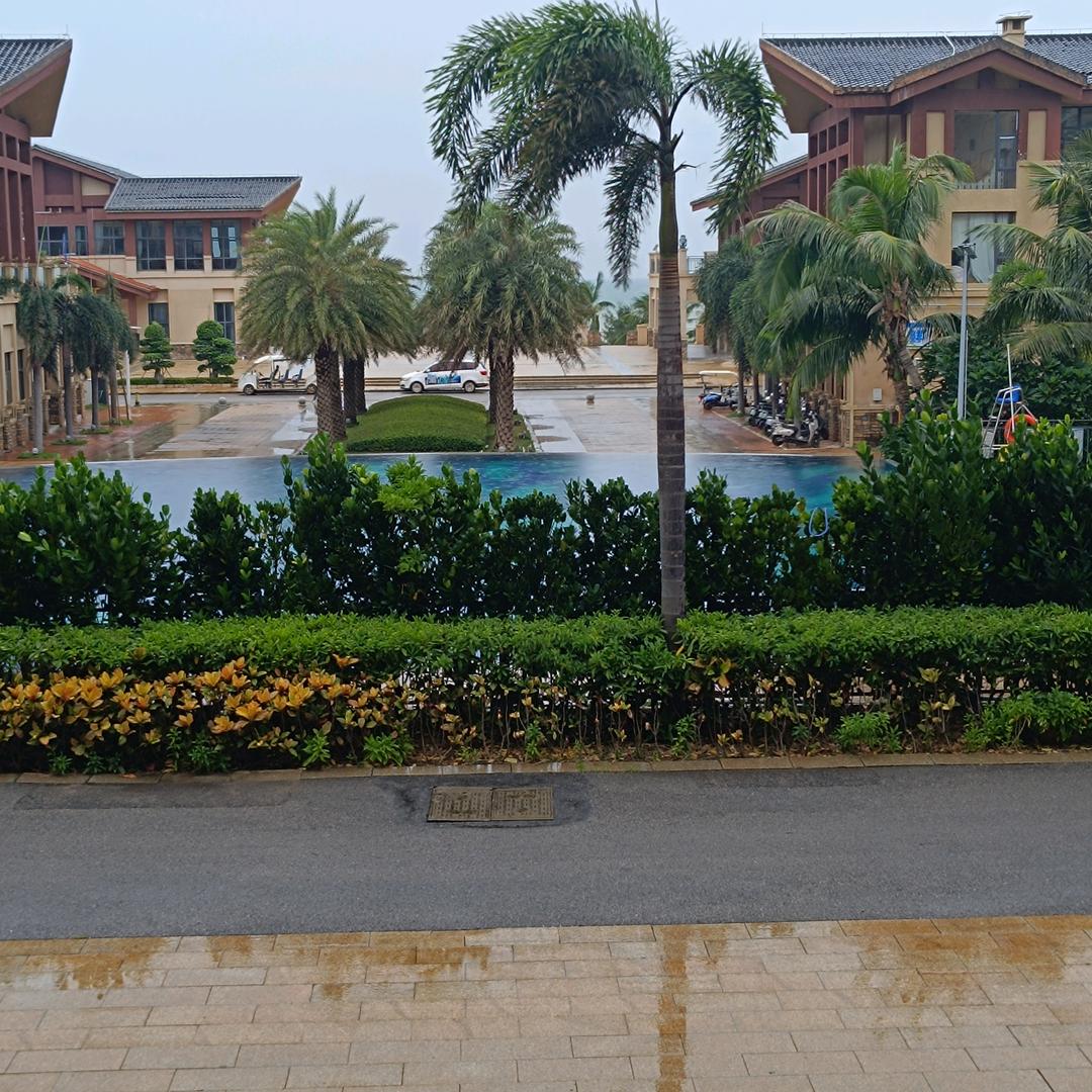与影同行