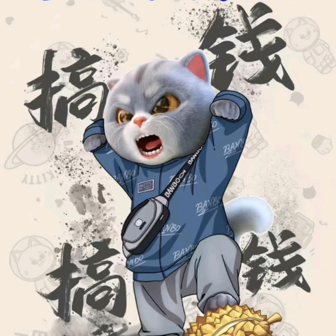 亮哥团队（带飞）
