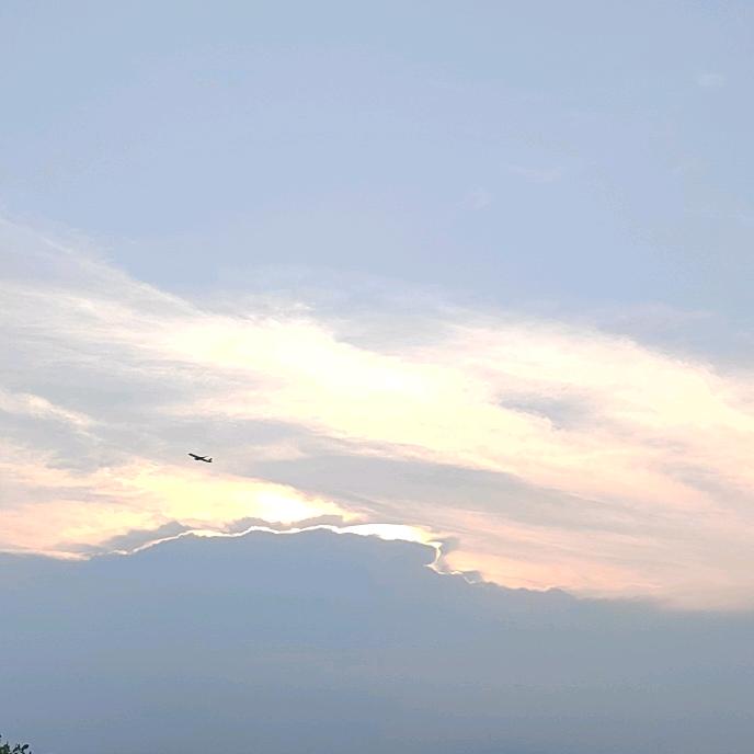 飘   零