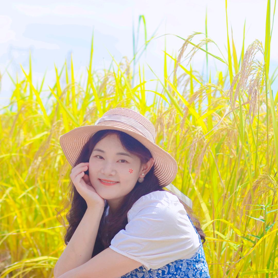 猪猪侠的流氓兔🐰