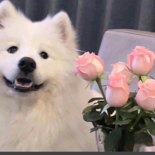 এ陌ོ诺ꦿ℘゜