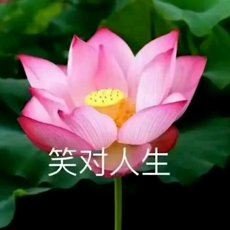 往怕百货精选生活坊