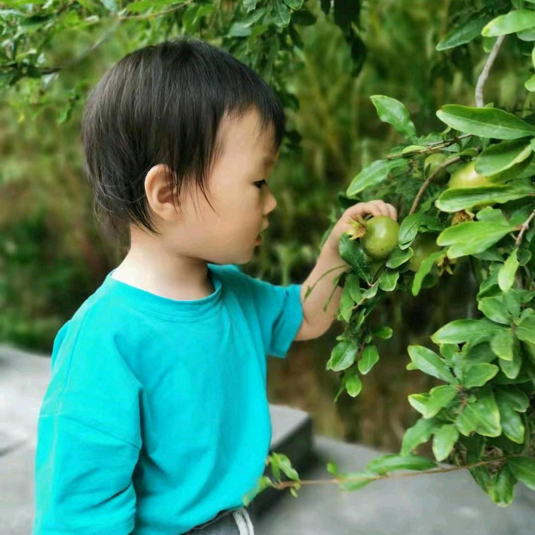 玉见就是缘