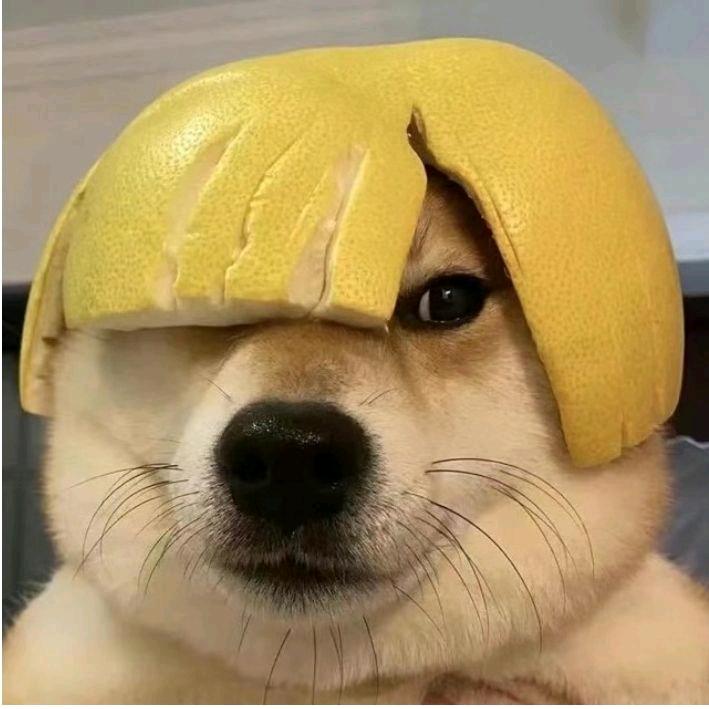 小盆友˙