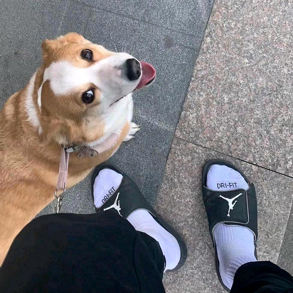 🌈蓝桉