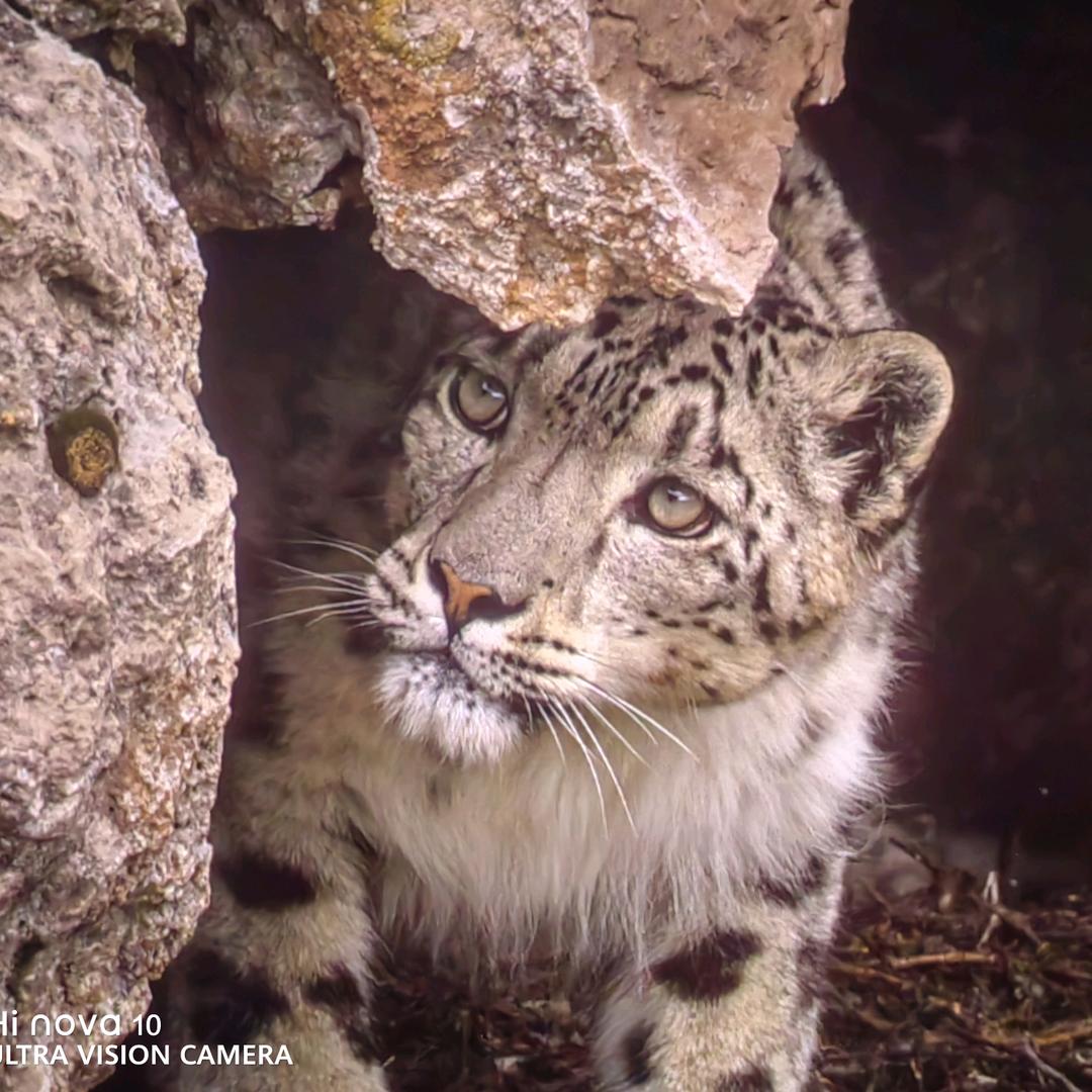 我不喜欢自己的名字