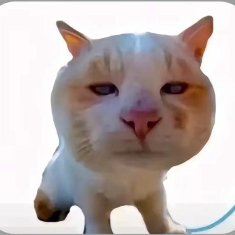 不要狗叫