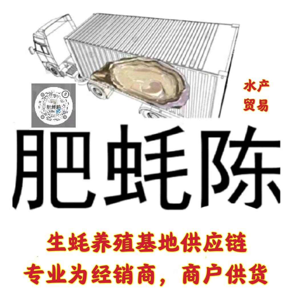 中国生蚝品牌《肥蚝陈》