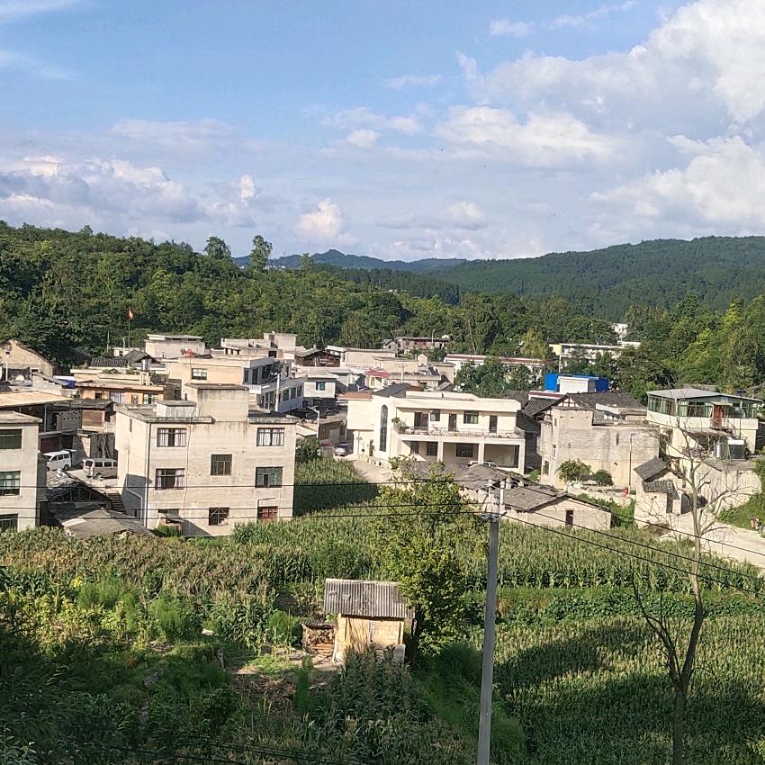 贵州新歌