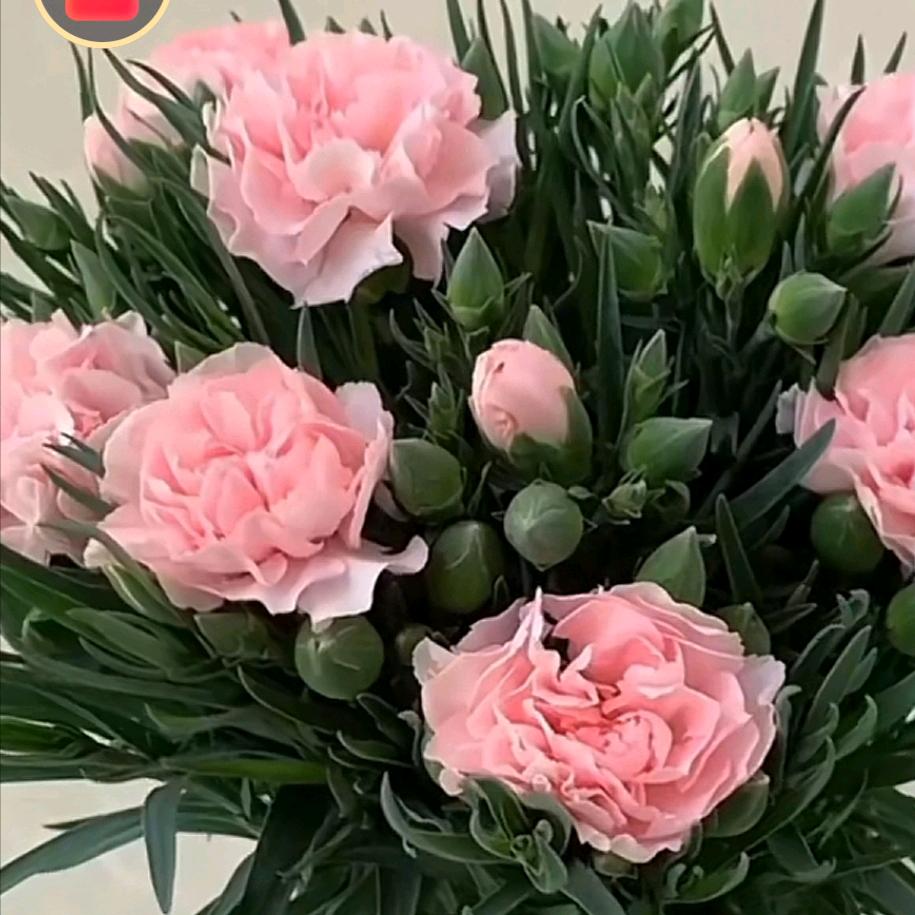 太公泉镇罗莱雅百货超市