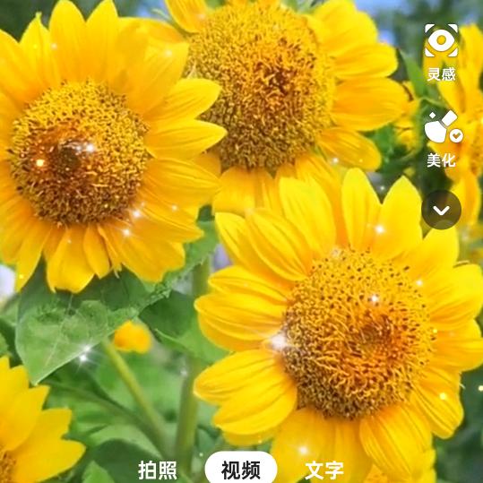 饺子馆