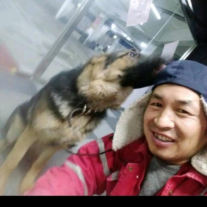 巡河仙