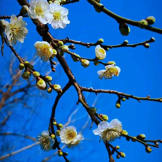 休闲喝茶学垂钓