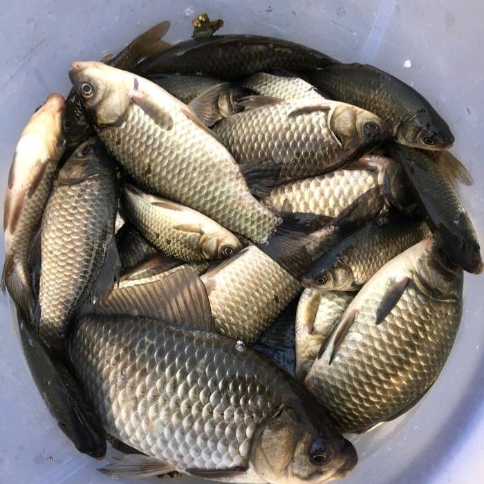 善淘电子优选店