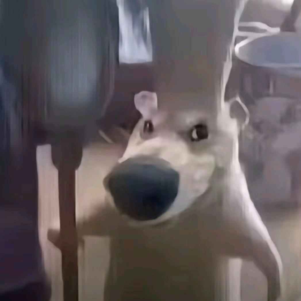 有一个粉丝就很幸福了