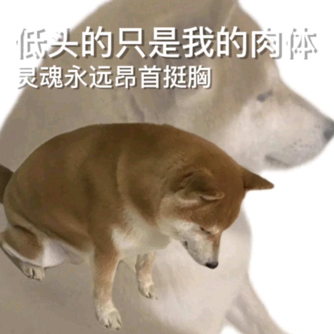 黑狗