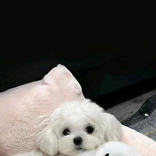 用户5438220668842