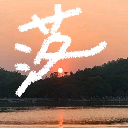 新泰云甄选