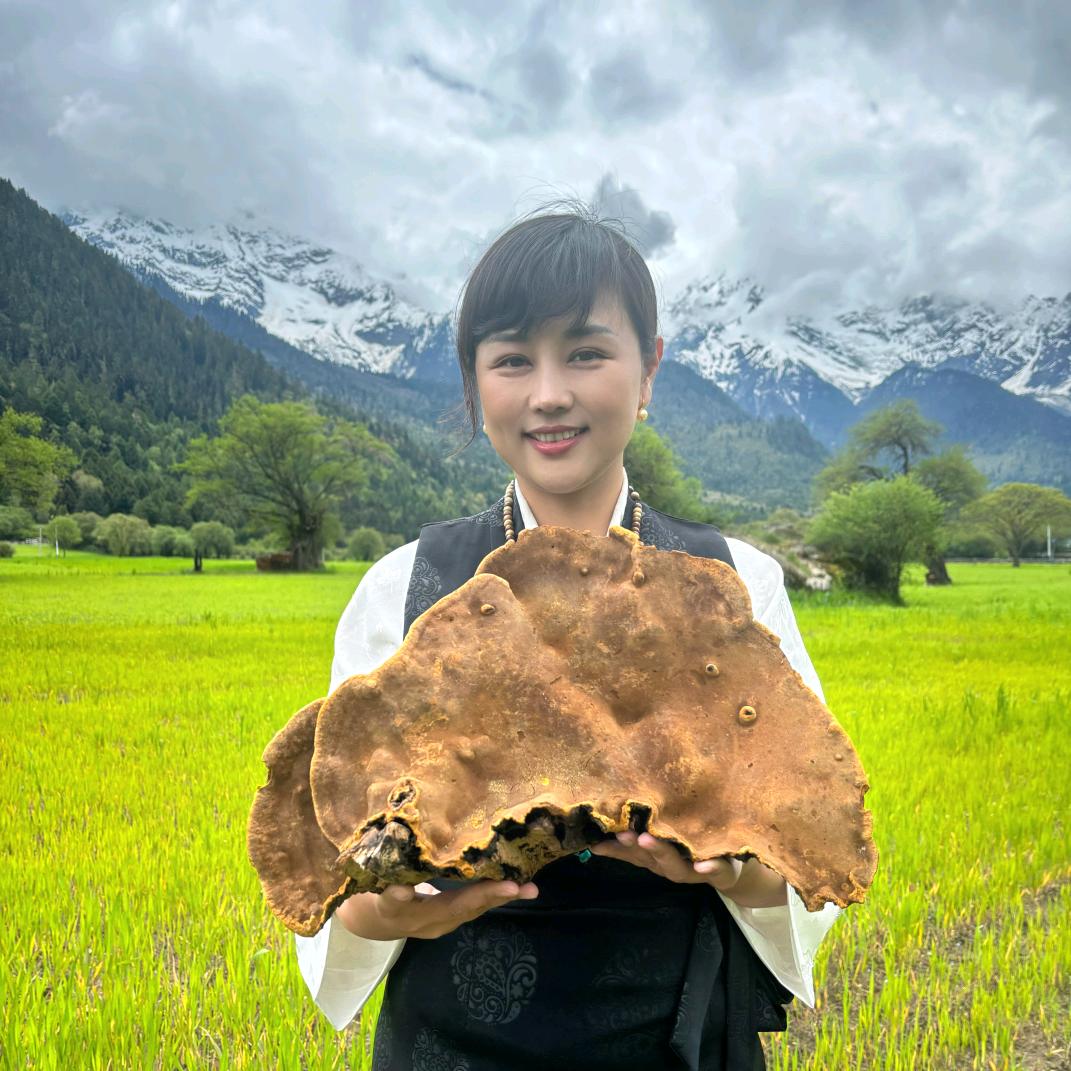 铭宣西藏土山货
