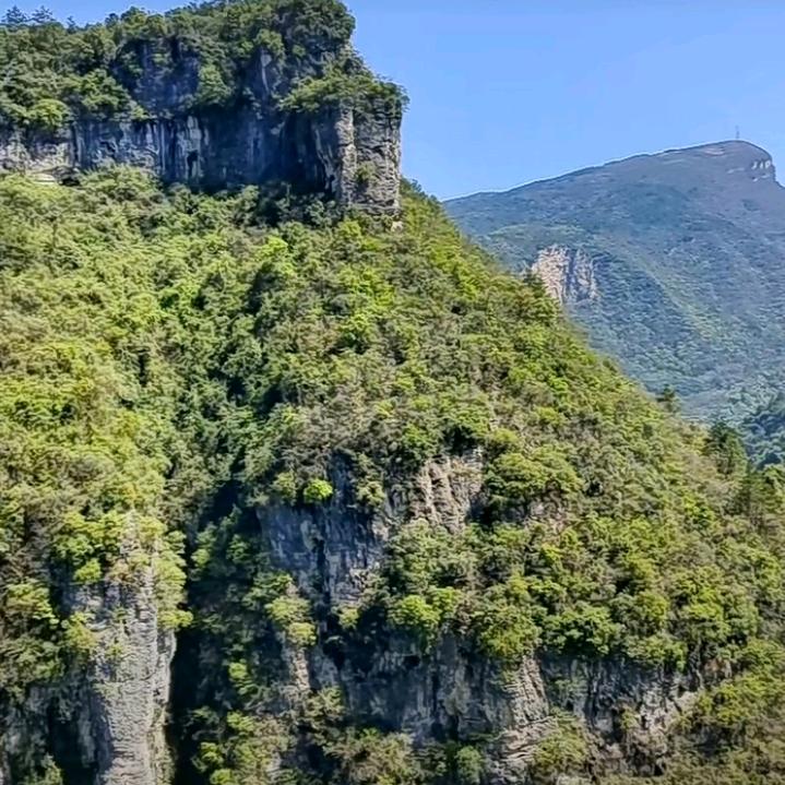 呆板
