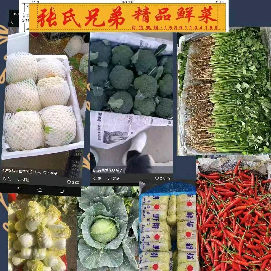 专业收购各种蔬菜代销，代发，支持各种包装