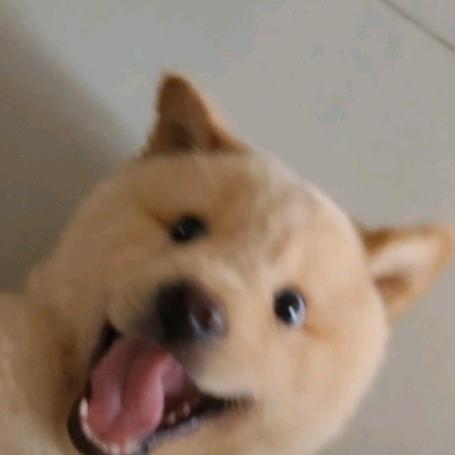 是七斤