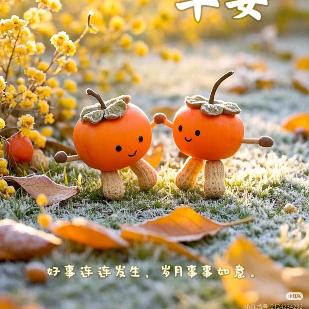美女的事不用管