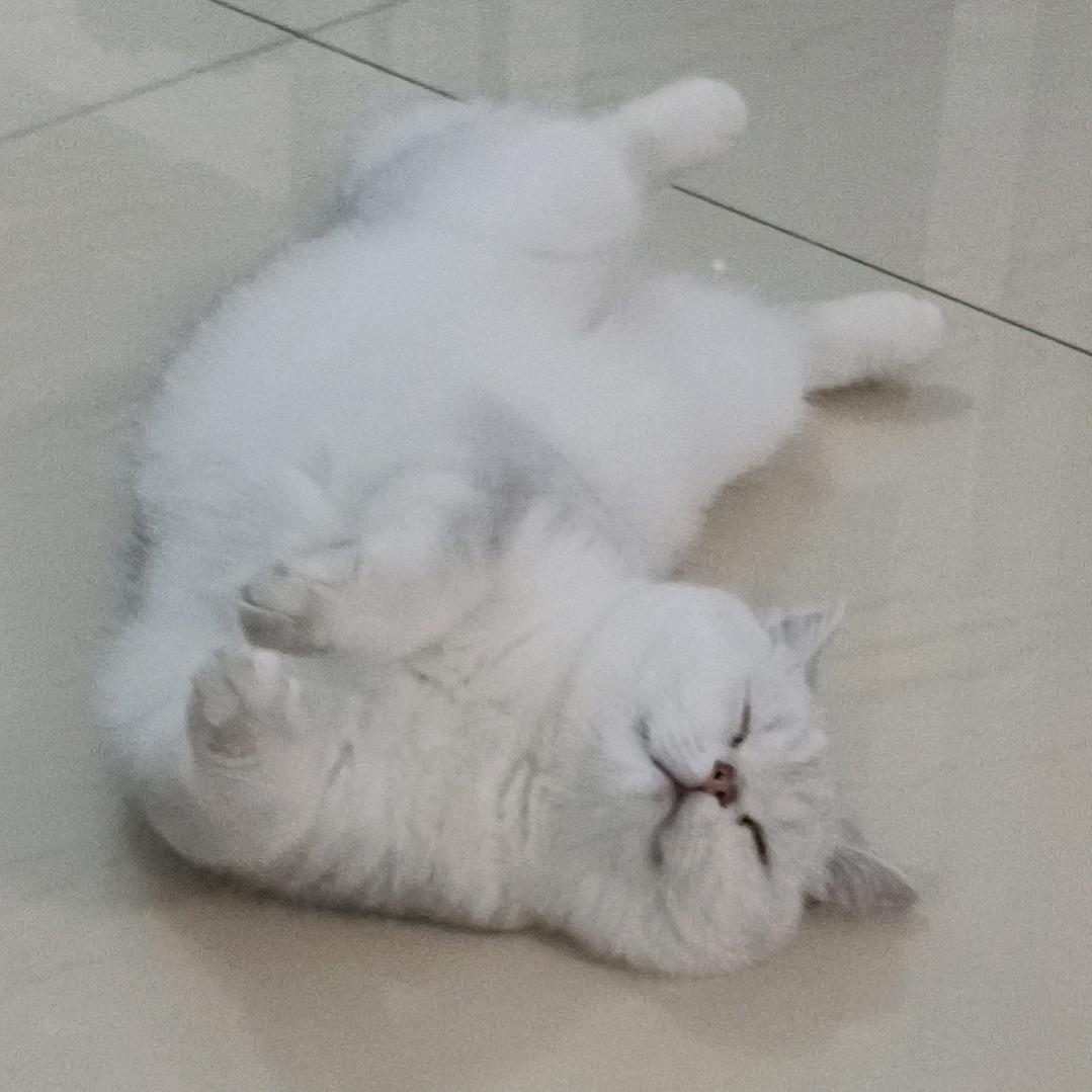 天天高兴