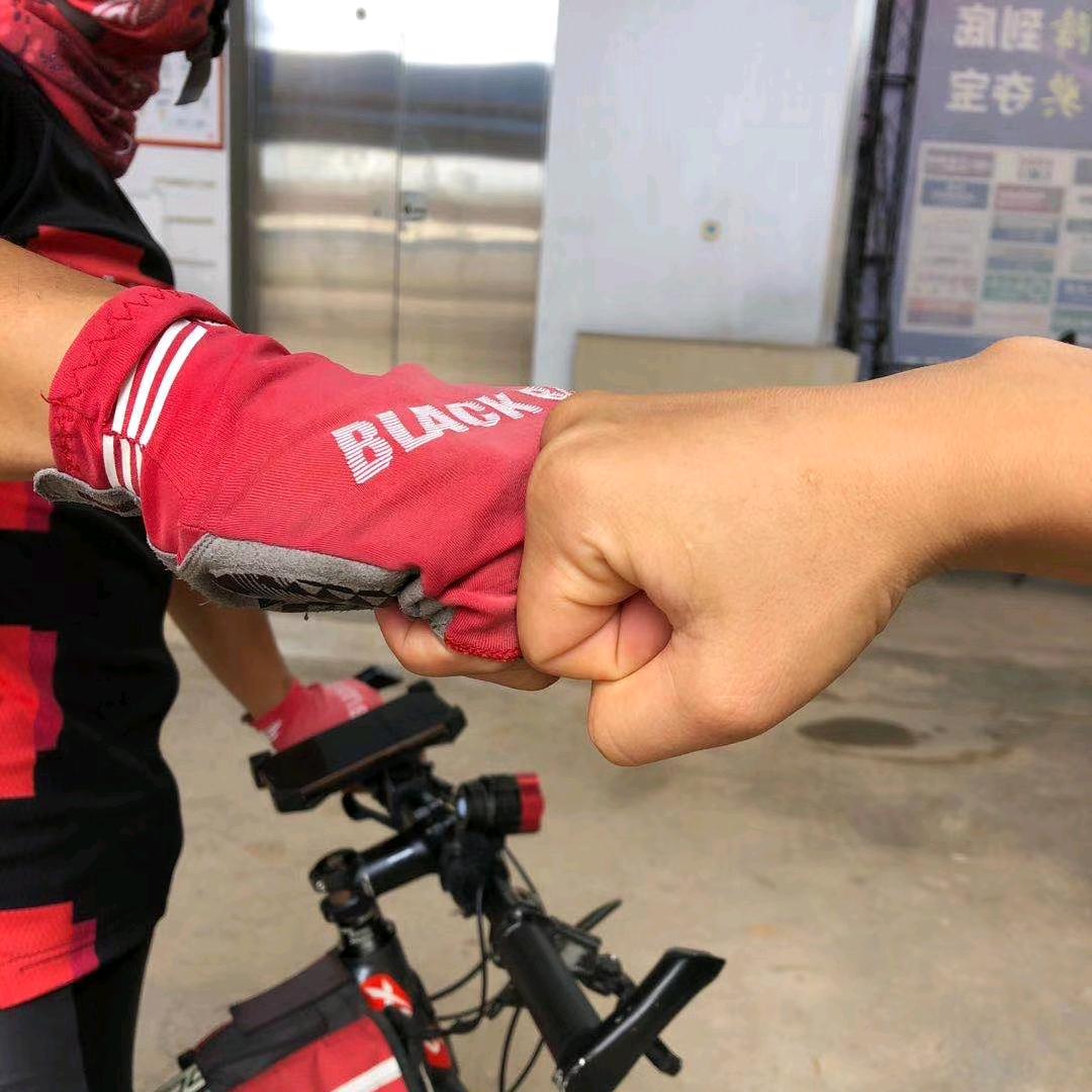 爱跑步的白杨