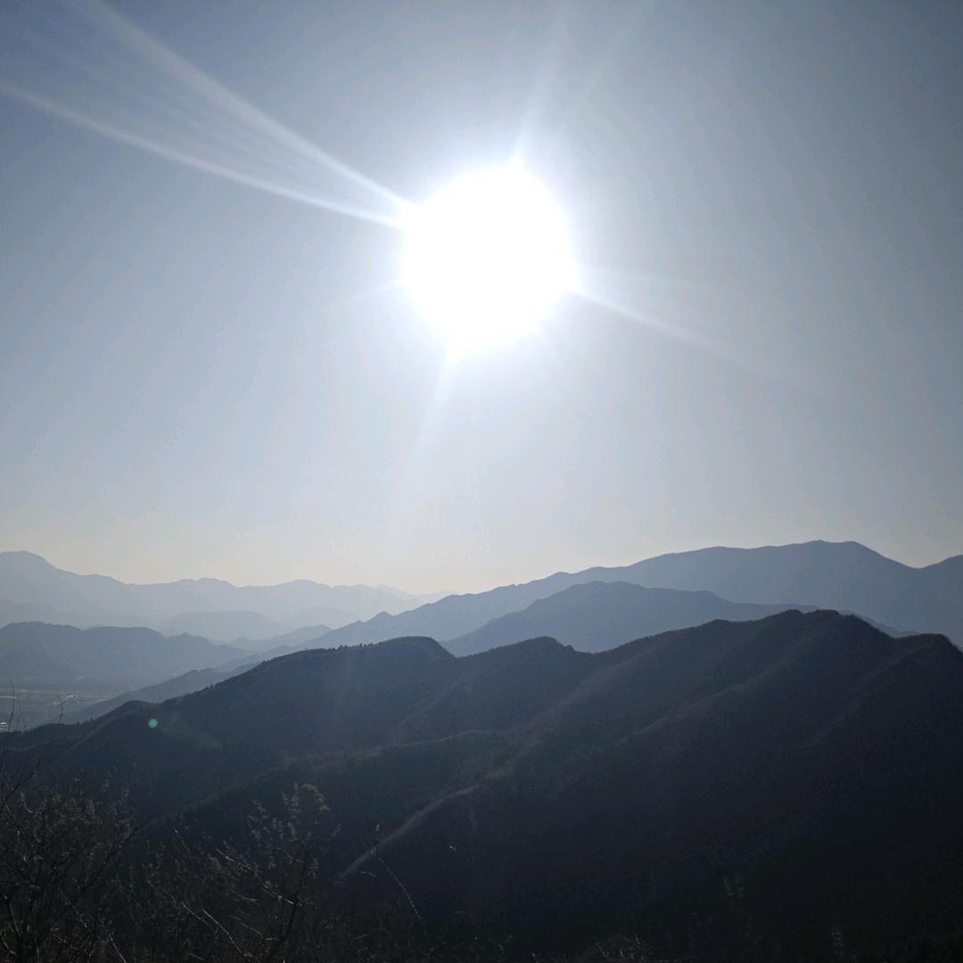 朝阳似我