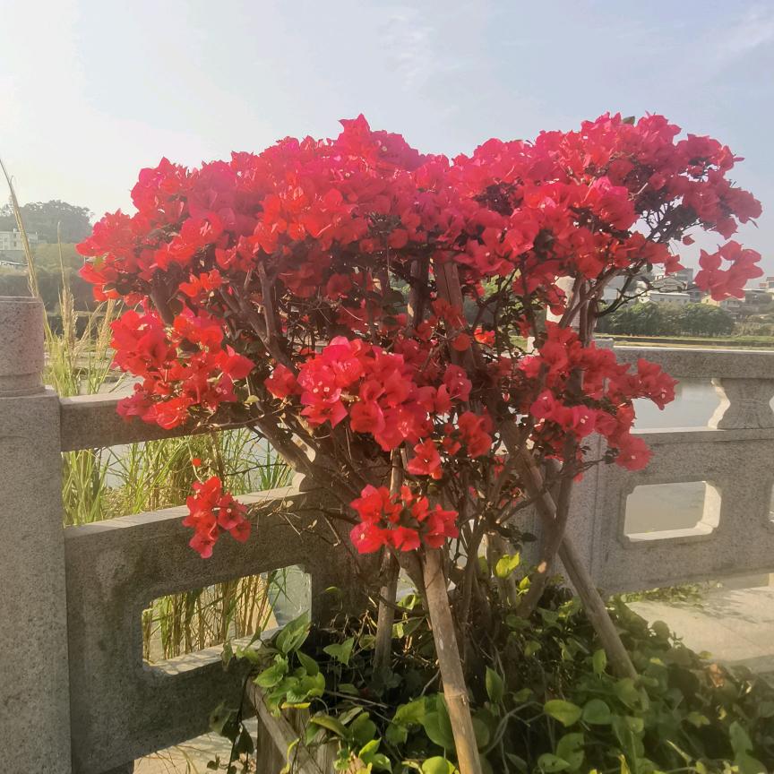 好剧库