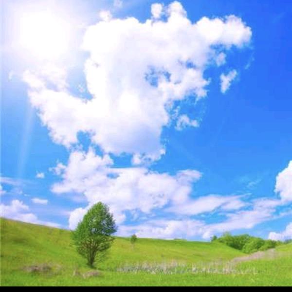 六十年的传承—刘木匠