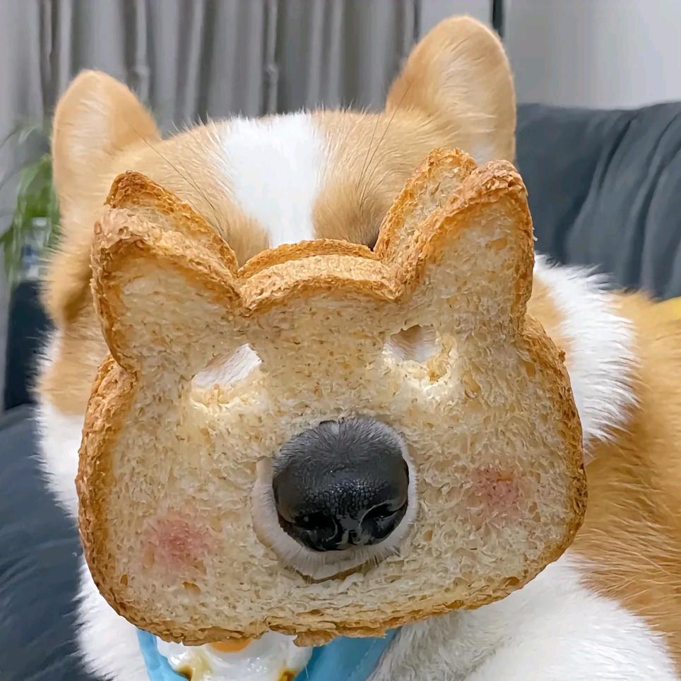 野原家百货