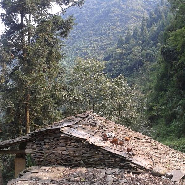 好命不如好习惯