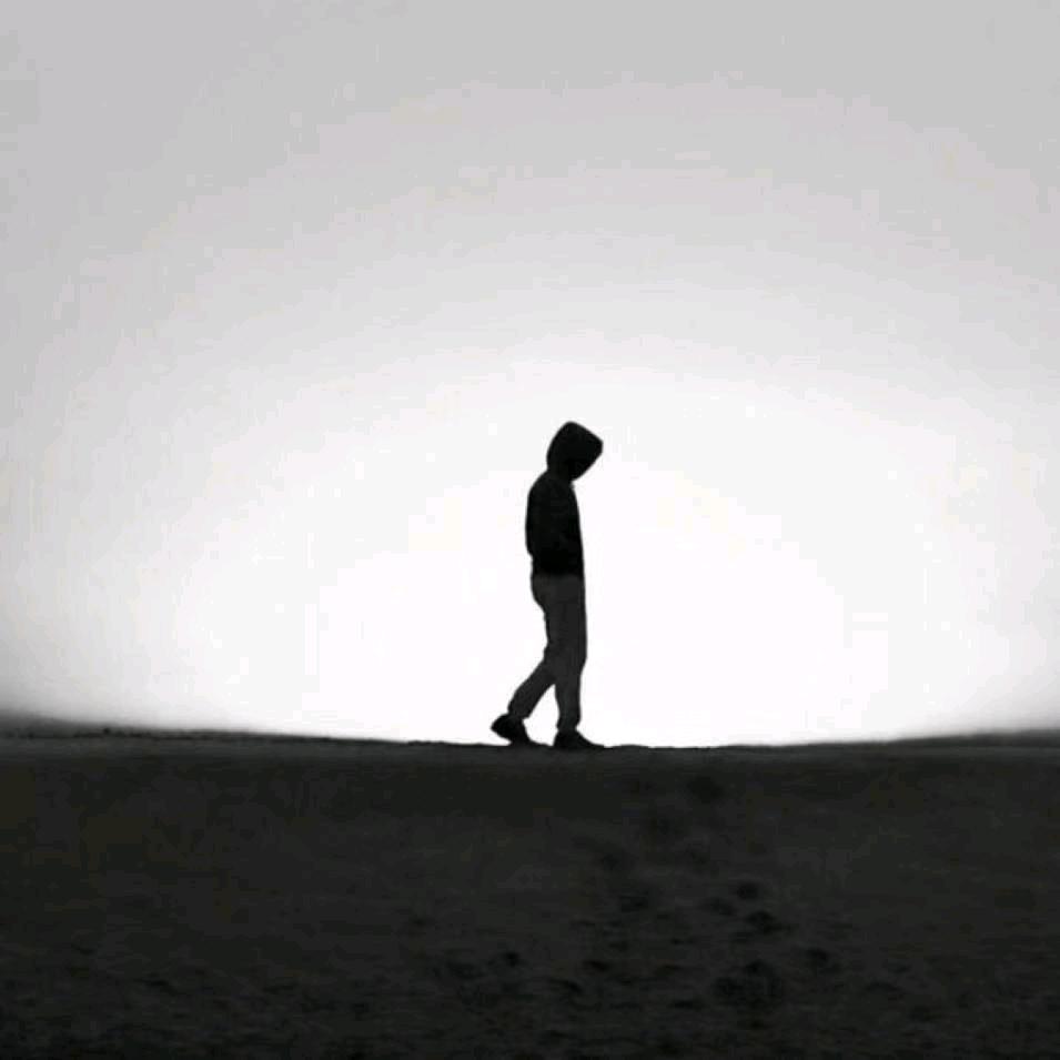*柠檬*