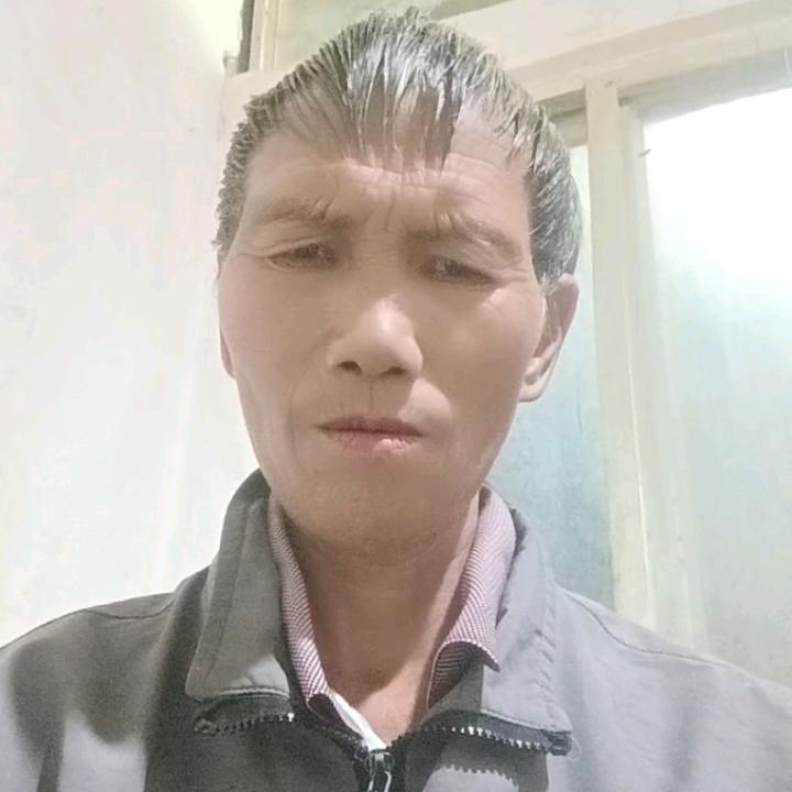 杨金