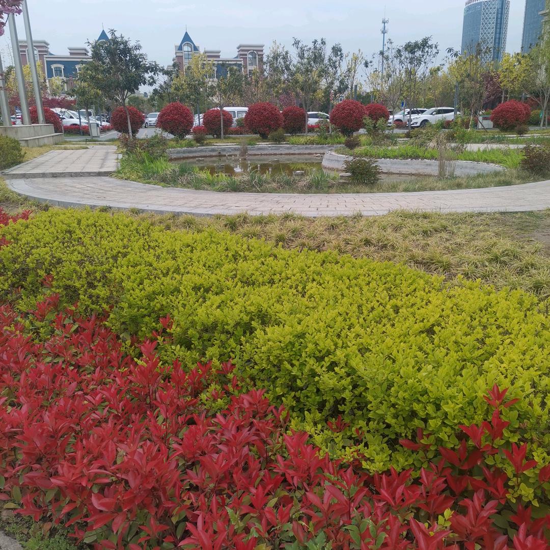 缘份