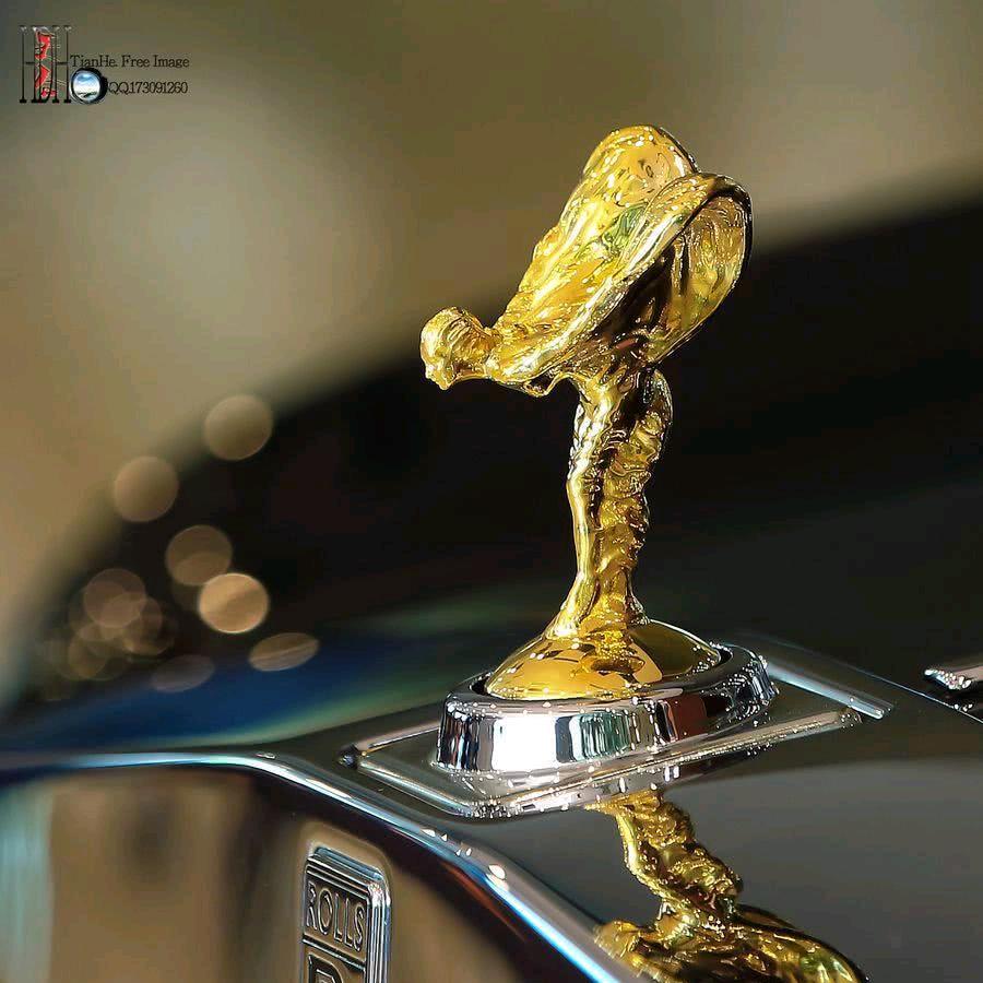 峡谷逗你玩✨博虎