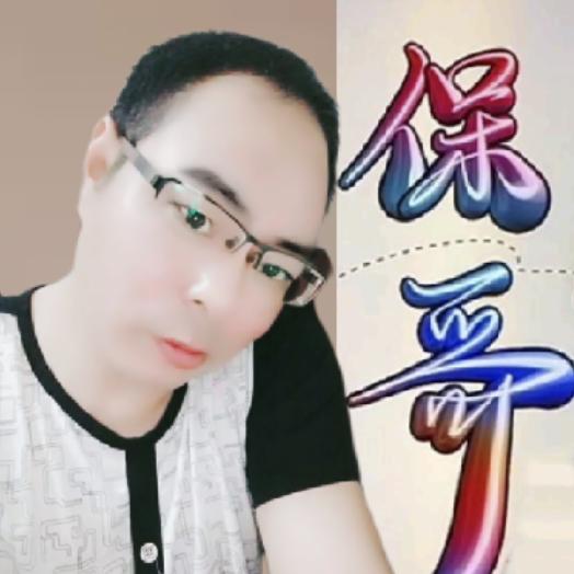 保哥