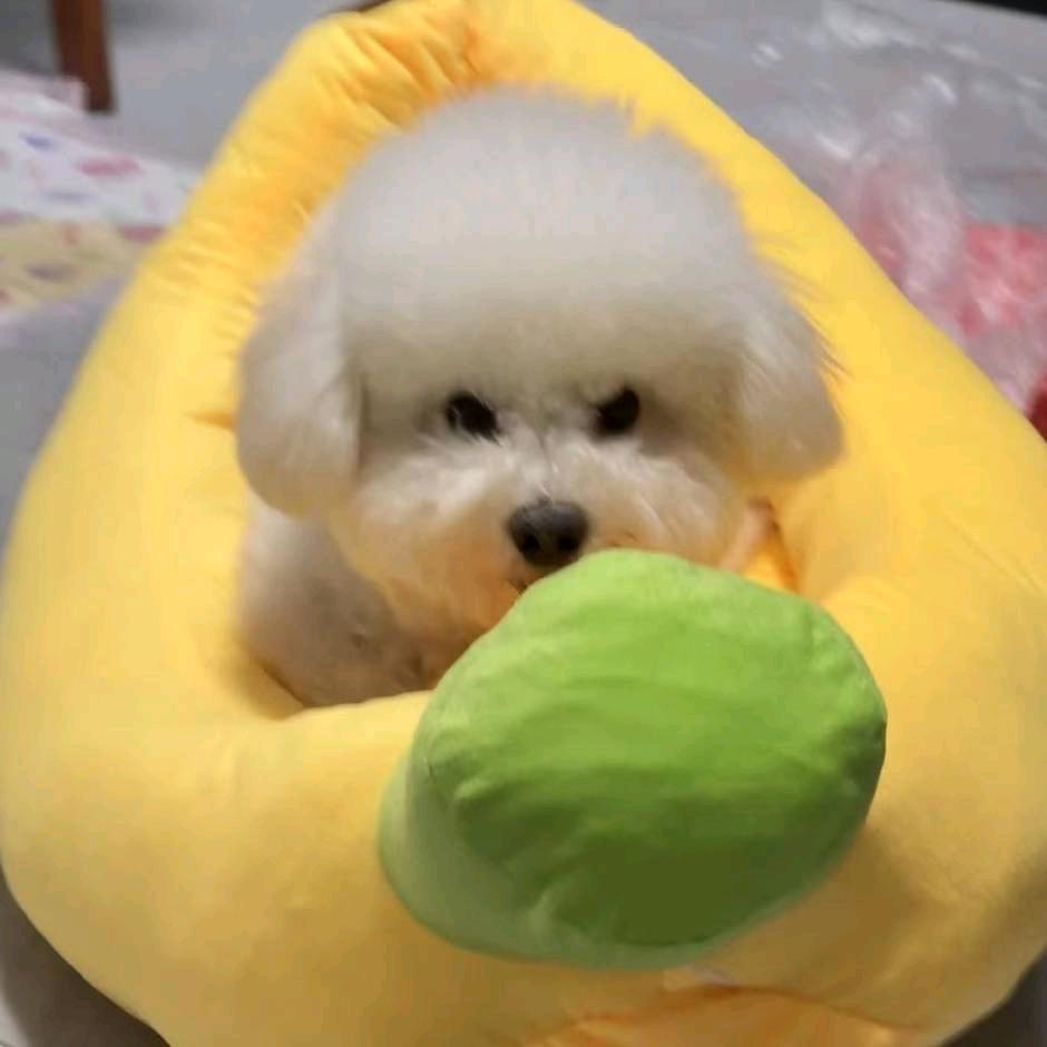 想当刘德华