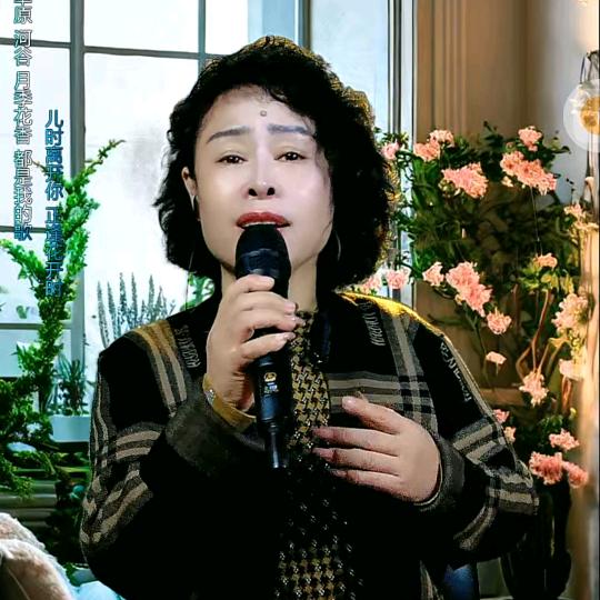 南燕姐🎤🎤