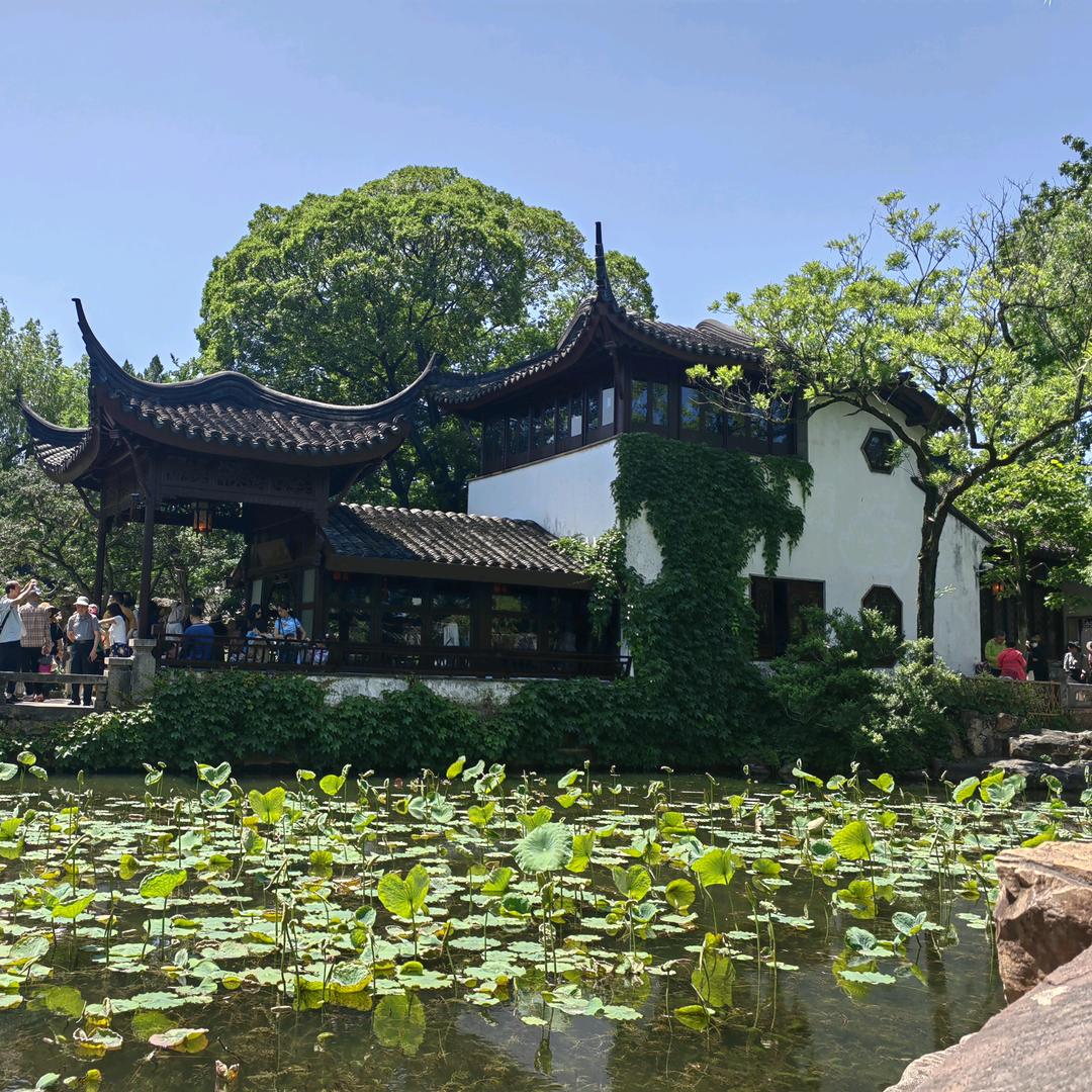 吱嗷赵